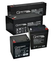 Quality-Batteries 12LS-2.1 VdS 12V/2,1Ah...