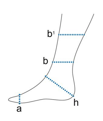 A.S.O. Standard-Knöchelorthese,Gr.L(Basko),