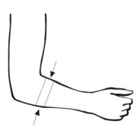 Bort EpiBasic Sport Epicond.-,Bandage schwarz/grün...