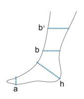 PROCARE STABILIZED ANKLE BRACE,Sprunggelenkorthese Gr.M,