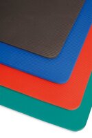 SISSEL Gym Mat Gymnastikmatte,180x60x1,5cm,blau,
