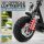 Velix E-Kick 20 Pro E-Scooter - Elektroroller nach eKFV mit wechselbarem Lithium-Akku