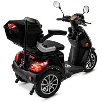E-Trike 25 V.3 Lithium, Schwarz