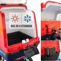 Rolektro E-Carrier 25 V.2 Blei-Gel, Rot, mit XXL-Koffer