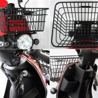 Rolektro E-Carrier 25 V.2 Blei-Gel, Rot, mit XXL-Koffer