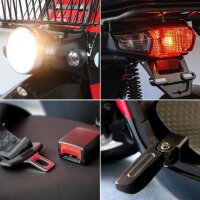 Rolektro E-Carrier 25 V.2 Blei-Gel, Rot, mit XXL-Koffer