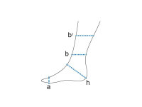AIRCAST AIRFREE Sprunggelenk-Orthese rechts Gr.L+