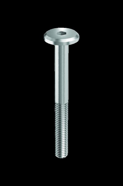 FLACHKOPFSCHRAUBE.M6X60  10Stck.silberMetall