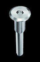 FLACHKOPFSCHRAUBE.MIT.BUND.M6X40  5Stck.silberMetall