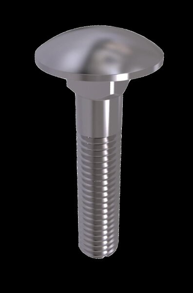 SCHLOSSSCHRAUBE.M6x60   1Stck.silberMetall