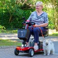 E-Quad 6 Blei-Gel, Rot