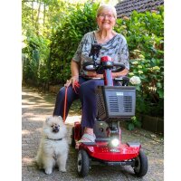E-Quad 6 Blei-Gel, Rot