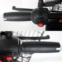 Rolektro E-Carrier 25 V.2 Blei-Gel, Rot, ohne Koffer