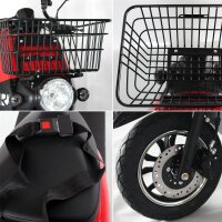 Rolektro E-Carrier 25 V.2 Blei-Gel, Rot, ohne Koffer